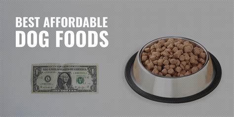 what are the best dog foods that are affordable